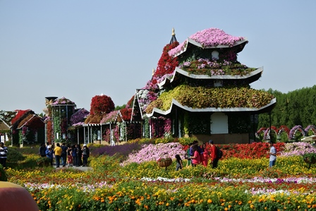 �h�o�C�R�Q