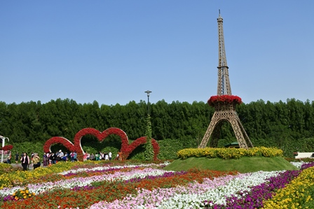 �h�o�C�R�R