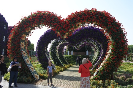 �h�o�C�R�U