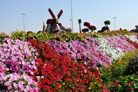 �h�o�C�R�V