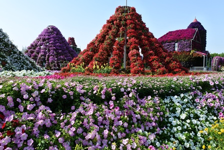 �h�o�C�R�W