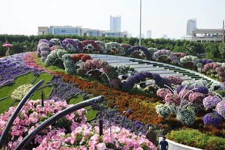 �h�o�C�S�P