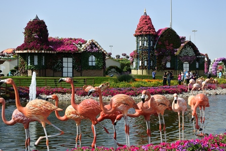 �h�o�C�T�R