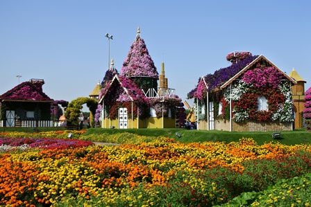 �h�o�C�T�S