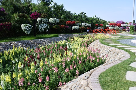 �h�o�C�T�W