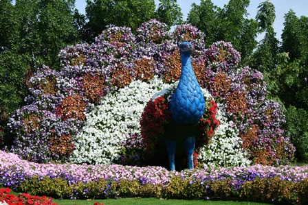 �h�o�C�U�O