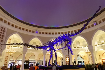 �h�o�C�U�X