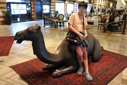 �h�o�C�W�T