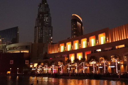 �h�o�C�X�R