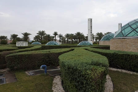 �h�o�C�R�P