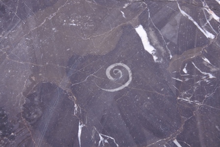 �h�o�C�R�Q