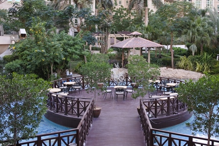 �h�o�C�T�Q