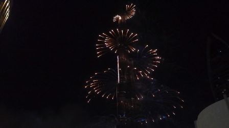 �h�o�C�W�P