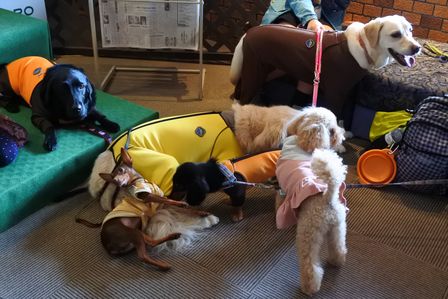 �x�m�܌΂P�O