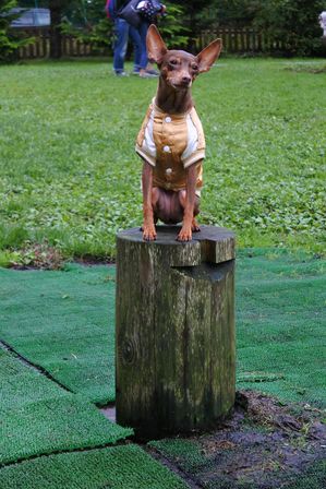 �x�m�܌΂P�Q