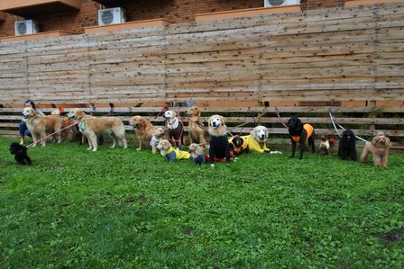 �x�m�܌΂P�R