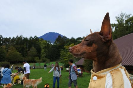 �x�m�܌΂Q�O