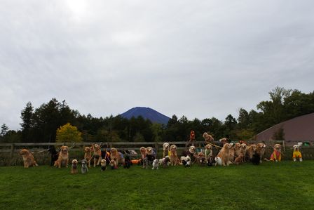 �x�m�܌΂Q�P