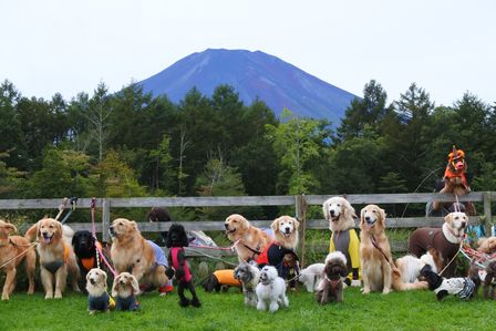 �x�m�܌΂Q�Q