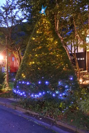 �x�m�܌΂R�O