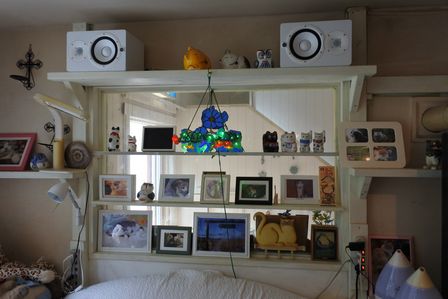 �x�m�܌΂P�O