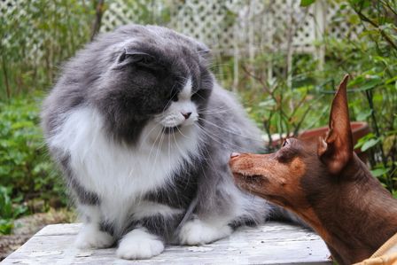 �x�m�܌΂P�Q