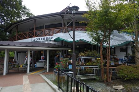 �x�m�܌΂P�R