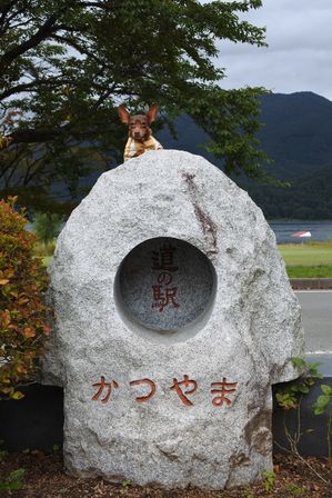 �x�m�܌΂P�S