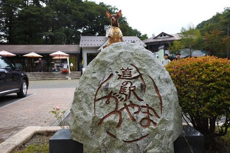 �x�m�܌΂P�T