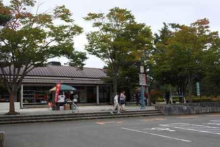 �x�m�܌΂P�V