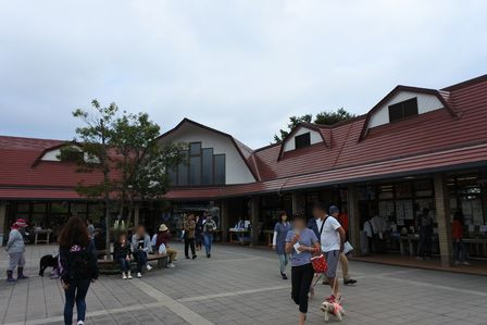 �x�m�܌΂R�O