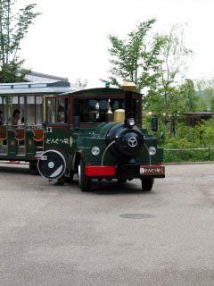 ���{���a���V