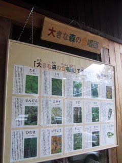 �X�̔����قQ