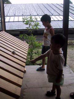 �X�̔����قR