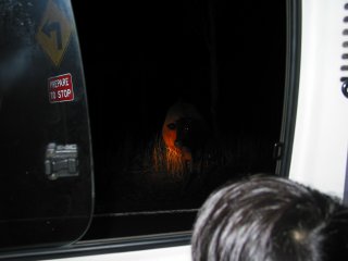 �W�����O���Q