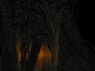 �W�����O���U