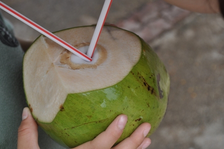 �O�A���P�P