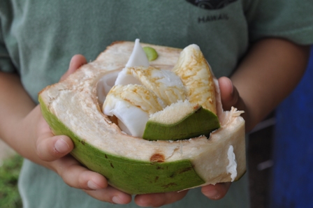 �O�A���P�R