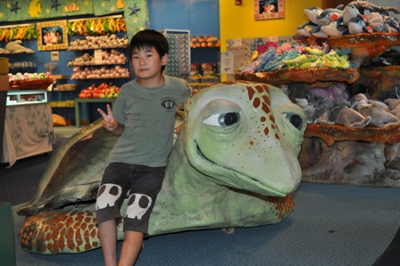 �O�A���R�O