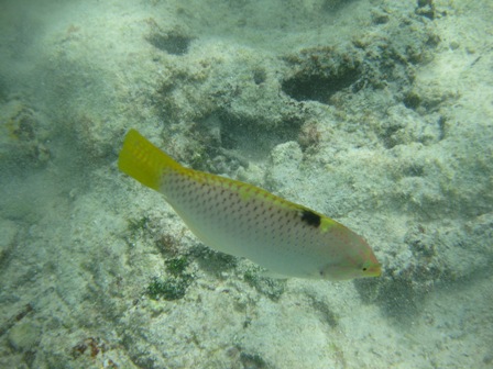 �O�A���Q�Q