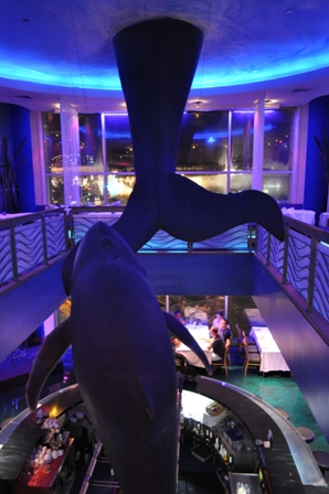 �O�A���R�R