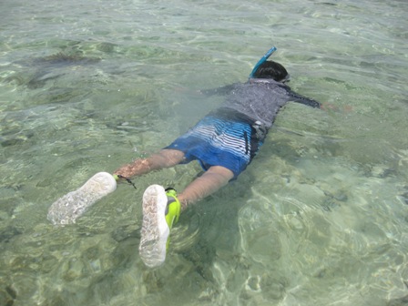 �O�A���P�P