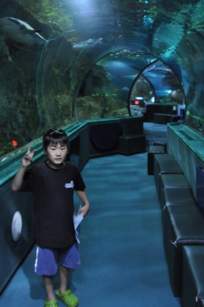 �O�A���Q�R