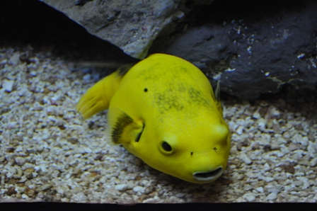 �O�A���Q�U