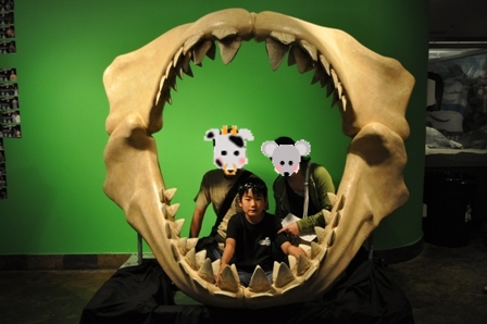 �O�A���Q�W