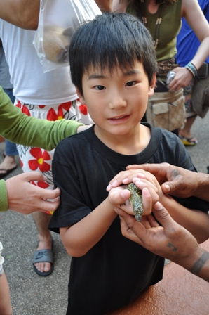 �O�A���R�P