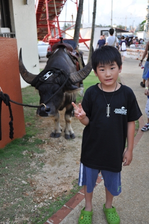 �O�A���R�R