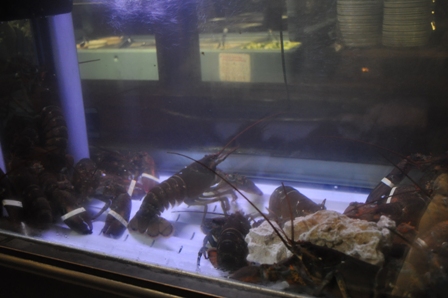 �O�A���Q�X