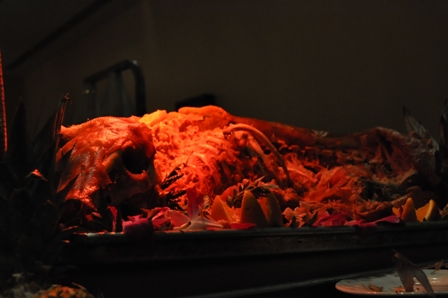 �O�A���R�S