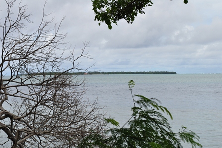 �O�A���P�O